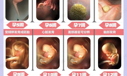 怀孕丙硫氧嘧啶对胎儿有影响吗-权威孕期丙硫氧嘧啶片一天一片会少吗平台,分享专业怀孕丙硫氧嘧啶对胎儿有影响吗知识_孕妇丙硫氧嘧啶片的吃法网
